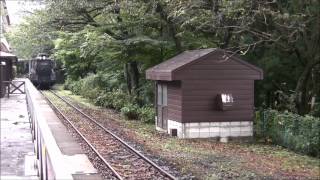 日本一短い距離走るSL D51 20120921