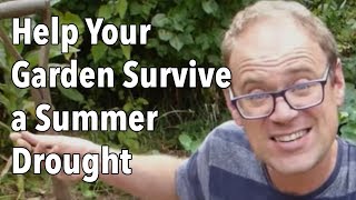 Help Your Garden Survive a Summer Drought