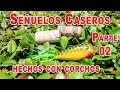 Seuelo caseros de corcho  parte 02    68