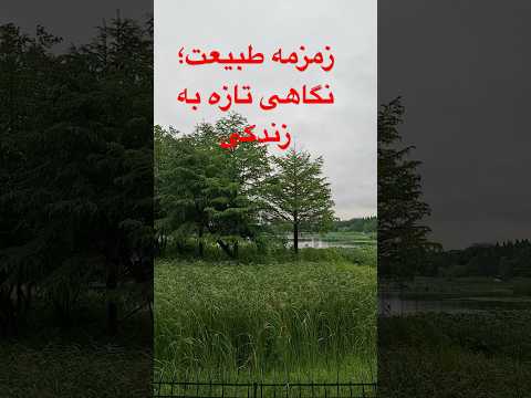 جایی میان آسمان و سبزه دشت های آرام و دل فریب 