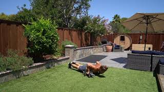 Dumbbell Deficit Push Ups
