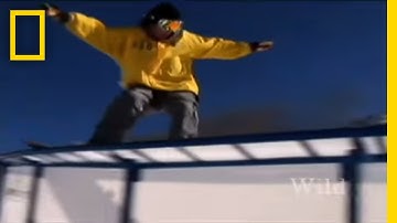 Mining the New American West | National Geographic