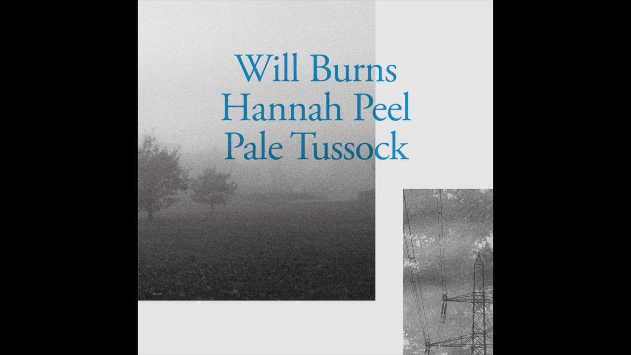 Watch Will Burns & Hannah Peel - 'Moth Book' on YouTube Watch Will Burns & Hannah Peel - 'Moth Book' on YouTube