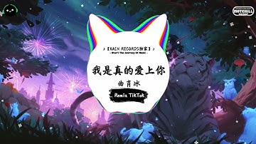 我是真的爱上你 (抖音DJ版)  - 曲肖冰『你有一双会说话的眼睛，你有善解人意的心。』♪ || 一听就上头的音乐 | 抖音热搜原版  | 抖音 | TikTok ♪