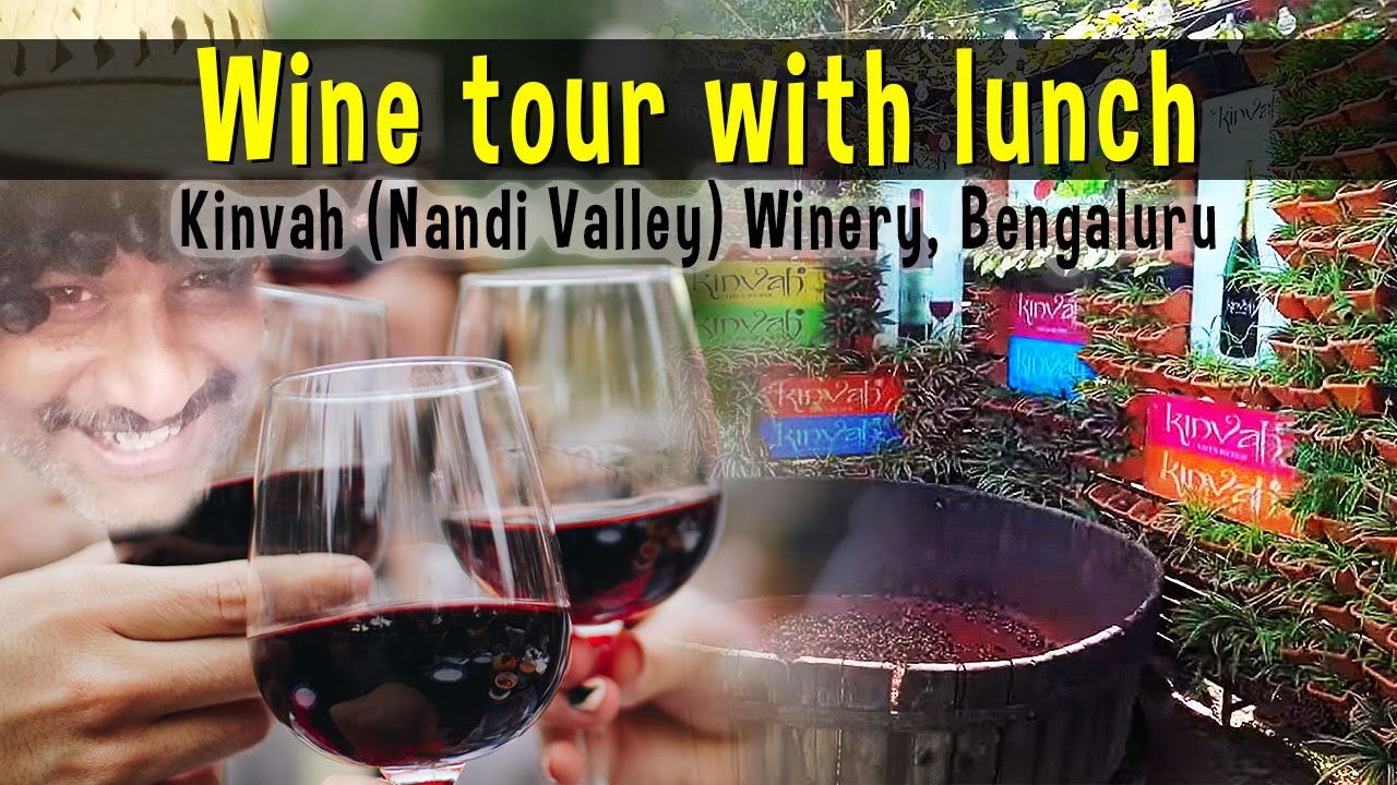 kinvah wine tour booking