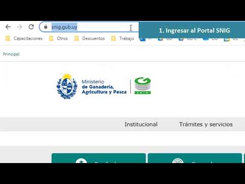 Video: Cómo Completar Una Declaración 3-NDFL Para Un Individuo En