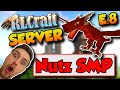 RLCraft 2.9.2 SMP Server *NEW* Day 8 🐉 Nutz SMP Episode 8 (LIVE)