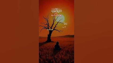 القران الكريم #اكسبلور #اكسبلورهاشتاقات #دويتو #القزابري #duet #المصحف #لايك #الرحمن #حالات_واتس