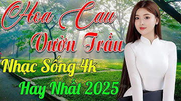 HOA CAU VƯỜN TRẦU ➤ MAI TIẾN ĐẠT ➤ LK Nhạc Sống Thôn Quê Toàn Bài Hay KHÔNG QUẢNG CÁO NGỌT LỊM TIM
