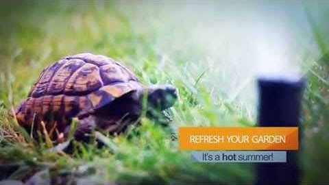 Qubino - Refresh Your Garden With Flush 2 Relays