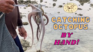 Learn how to catch fresh Octopus with your hands! In Khao Lak, Thailand 🇹🇭🐙🏝️