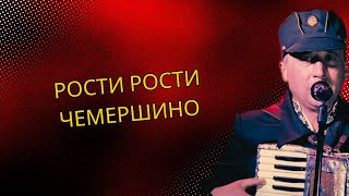 Рости Рости Черемшино (Повстанська Пісня)