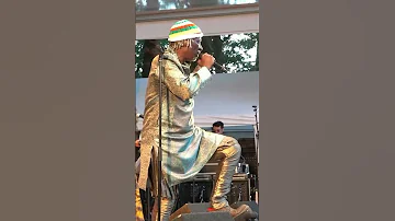 Alpha Blondy The Solar System Brigadier Sabary 