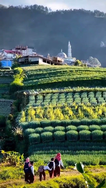 PENGHULU NIKAH SIRI - NIKAH SYARI'AH WA.: 08993881099 #nikahsiri #nikahagama #nikahsyariah