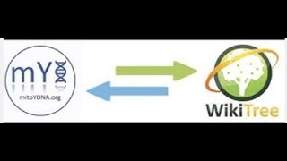 mitoYDNA & WikiTree (Linking to a Y haplotype)