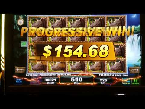 Big 5 Safari Live Play w/Max Bet & Progressive JACKPOT Win