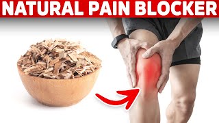 The #1 Best Natural Cox-2 Inhibitor for Pain and Inflammation