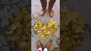Pov: Романтизировать Наступившую Осень | Наше Любимое Время Года – Осень! 🍁🧡🍂 #Осень #Калининград