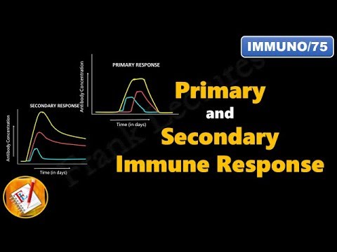 प्राथमिक और माध्यमिक प्रतिरक्षा प्रतिक्रिया (FL-Immuno/75)