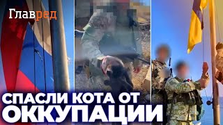  Українські бійці врятували кота з острова Зміїний