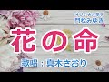 花の命(門松みゆき)唄/真木さおり