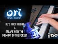 Ori And The Will Of The Wisps Ku S First Flight Escape With Memory Of The Forest Piano Cover Ori And The Will Of The Wisps Ku S First Flight Escape With Memory Of The Forest Piano Cover