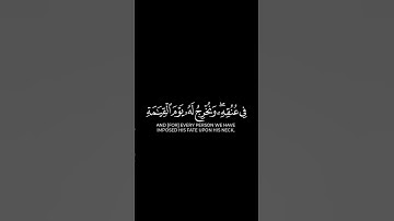 وكل انسان ألزمناه طائره في عنقه | #كرومات_قرآن للقارئ ياسر الدوسري.
