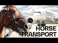 How the horses travel to the FEI World Equestrian Games™ | Tryon 2018