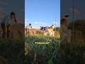 У животных тоже есть душа, через тело животных могут приходить помогающие души (Наставники, ангелы)