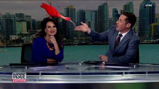 Bird Photobombs 🦤🦩🦜🕊️ 🦅🐦‍⬛ 🦜 🦚 🪽 🐓🐥🦚