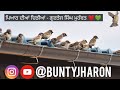          bunty jharon  new punjabi poetry  whatsapp status