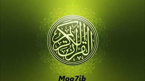 الشيخ عامر الكاظمي........ سوره النساء ........