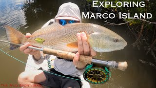 Fly Fishing Marco Island Backcountry 10 11 2025 The Avid Sportsman