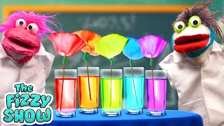 Fizzy Makes A Science Experiment With DIY Coffee Filter Flowers | Fun Videos For Kids