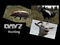 DayZ My hunting experience