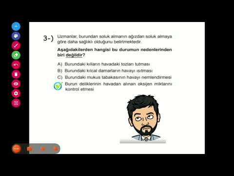 6.sınıf 2.ünite Solunum ve Boşaltım Sistemi Soru Çözümleri