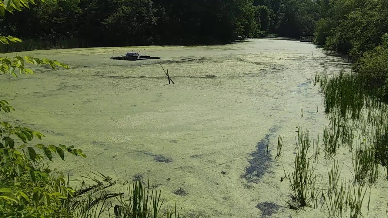 Lake Menomin Dredging results 2020 YouTube