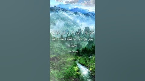 واتقوا يوماً لا تجزي نفس عن نفس شيئاً بصوت أبي المنتصر/حالات واتس اب قرانية#سورة_البقره/تلاوة خاشعة