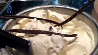 Vanilla Bean Ice Cream 