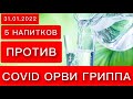 5 НАПИТКОВ ДЛЯ ИММУНИТЕТА ПРОТИВ COVID ГРИППА И ОРВИ 31.01.2022 ГОДА