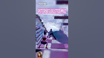 Peterbot Makes Every Pro Look Like BOTS! #fortnite