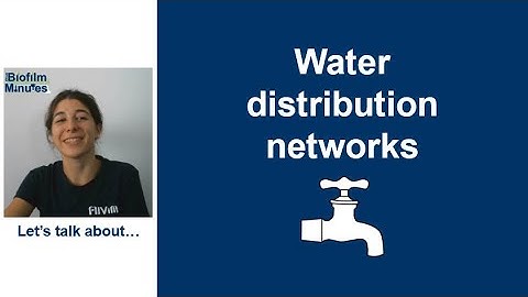 Biofilm Minutes - Water Distribution Networks
