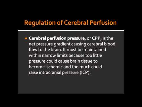 Video: Cerebral Perfusion Ved Sepsis