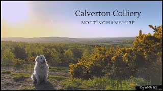 A relaxing walk around Watchwood and Calverton Colliery｜Nottinghamshire｜Slow TV｜4K