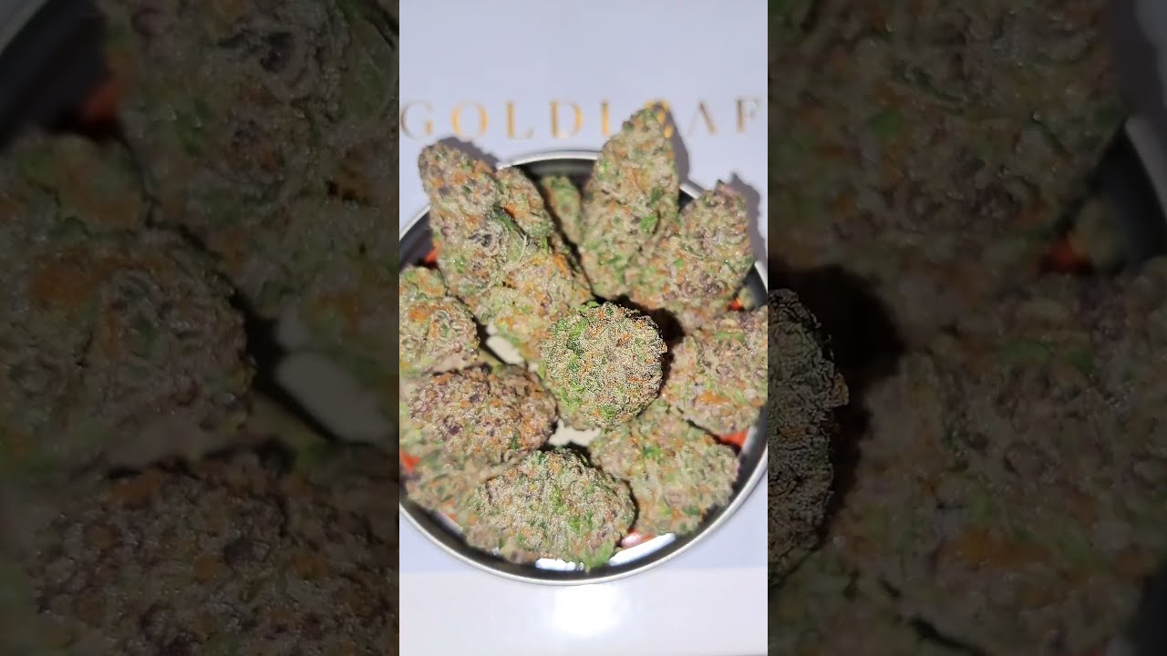 Superboof Organic Living Soil Ideal Cannabis Goldflower Dispensary Florida 