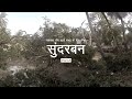 डूबते सुंदरबन का संरक्षक – मैंग्रोव : भाग 2