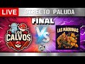 🔴 DIRECTO 🔥 ¡EMPIEZA LA GRAN FINAL! ⚔️ ✅ (vs Matagod) 💪🏻 | PokeMMO