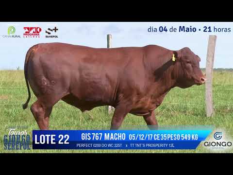 LOTE 22 GIS 767