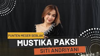 Punten Meser Seblak Cover Siti Andriyani (LIVE SHOW Haurseah Cijulang Pangandaran)
