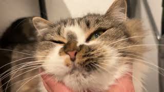 Пробежка. Нежная Яника. Были В Заповеднике.